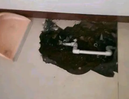 黄陂卫生间测漏水多少钱